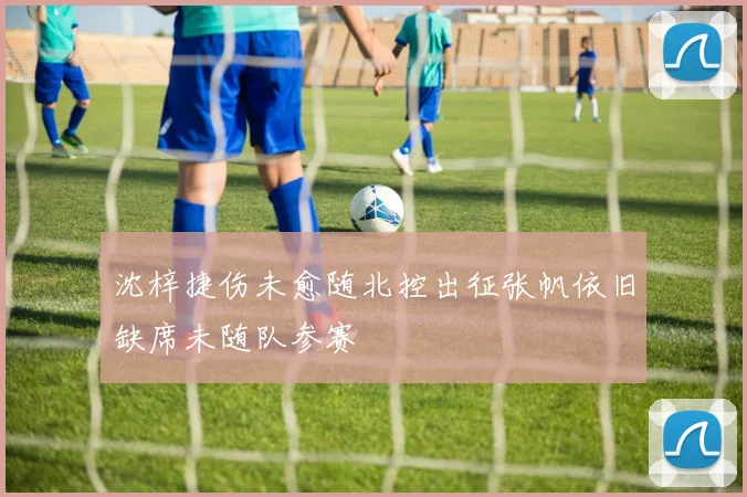 沈梓捷伤未愈随北控出征张帆依旧缺席未随队参赛