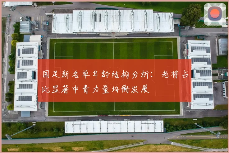 国足新名单年龄结构分析：老将占比显著中青力量均衡发展