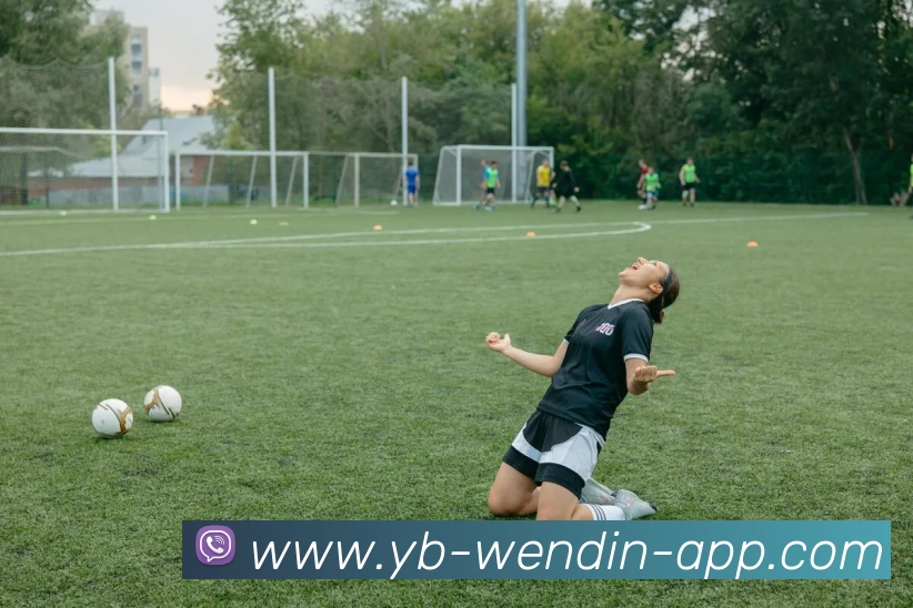 问鼎娱乐平台生态图